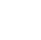 VIP St. Pete