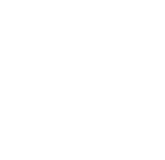 VIP St. Pete